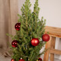 Kerstboom 80 cm inclusief rode versiering