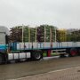 Kerstbomen levering