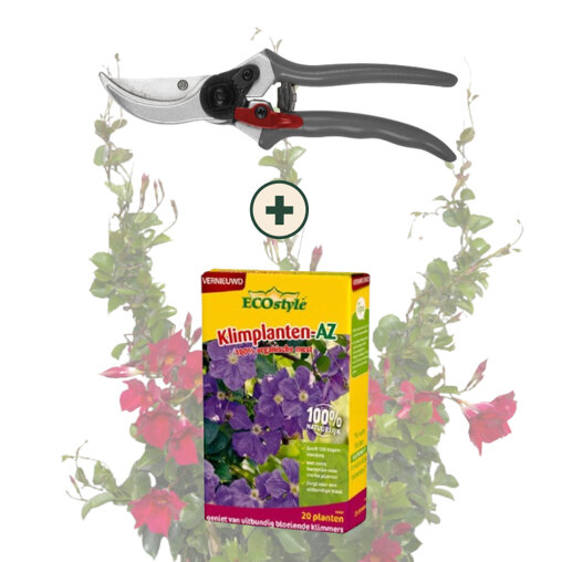 Klimplanten onderhoudspakket