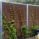 Tuinscherm Kokowall XL