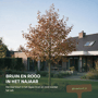 Krentenboom 'Robin Hill'