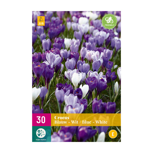 Krokusbollen Blauw & Wit (XXL zak 30 stuks)