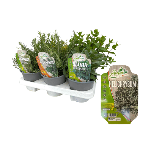 Kruiden mix pakket BIO