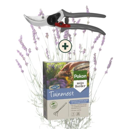 Lavendel onderhoudspakket