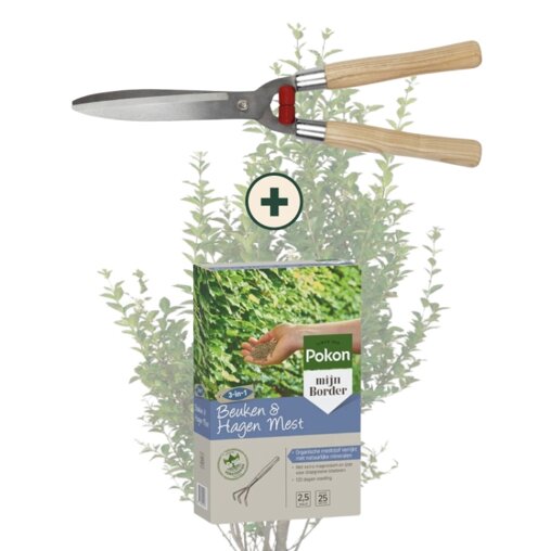 Ligusterhaag onderhoudspakket