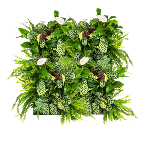 Mobilane Groene Wand LivePanel Pack 87 x 109 cm met planten