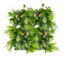 Mobilane Groene Wand LivePanel Pack 87 x 109 cm met planten