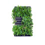 Mobilane Groene Wand LivePanel Pack 87 x 157 cm met boomliefhebber planten