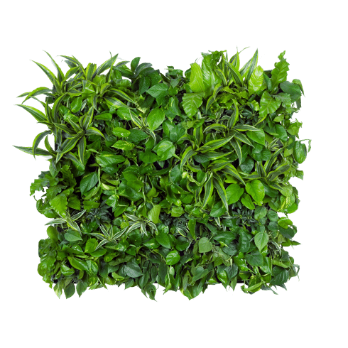 CEIEVER Hangende verticale wandplant, verticale tuinplantenwand met 36 zakken, aan de