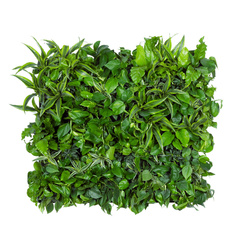 Mobilane Groene wand LivePanel Pack 127 x 109 cm met planten