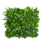 Mobilane Groene wand LivePanel Pack 127 x 109 cm met planten