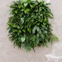 Mobilane Groene Wand LivePanel Pack 87 x 109 cm binnen