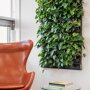 Mobilane Groene Wand LivePanel Pack 87 x 157 cm in woonkamer