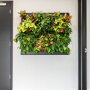 Mobilane Groene wand LivePanel Pack 127 x 109 cm in kantoor