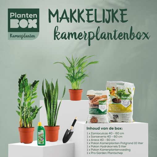 Makkelijke kamerplantenbox