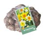Narcissenbollen Grootkronig Mix (netzak 40 stuks)