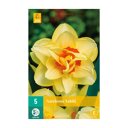 Narcissenbollen Tahiti (zakje van 5 stuks)