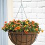 Nature hanging basket groen