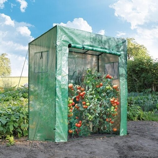 Nature tomatenkas groen