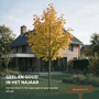 Noorse esdoorn