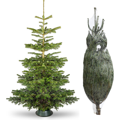 Nordmann kerstboom deal