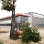 Nordmann kerstboom