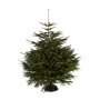 Kerstboom met Cinco Kerstboomstandaard