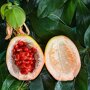 Eetbare vruchten van de Passibloem