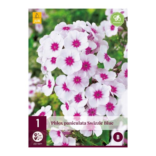 Vlambloem bol Paniculata Swizzle Blue (zak van 1 stuk)