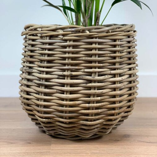 Plantenmand rond