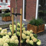 Planter hardhout vierkant in de tuin