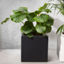 Planter Smooth binnen
