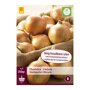 Plantuien Stuttgarter Riesen (zak van 250 gram)