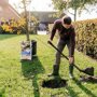 Boom aanplanten met Pokon Aanplantgrond