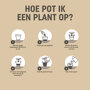 Pokon Buxus Grond Bio instructie