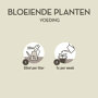 Pokon Bloeiende Planten Voeding Vloeibaar instructie