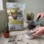 Pokon Cactus Potgrond sfeer