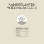 Pokon Kamerplanten Voedingskegels Instructie