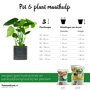 Pot en plant keuzehulp