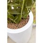 Pottery Pots Essential Dax ronde plantenbak hoog glanzend wit detail