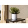 Pottery Pots Essential Puk ronde plantenbak mat wit