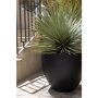 Pottery Pots Natural Jesslyn ronde plantenbak zwart buiten