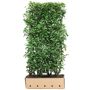 QuickHedge Laurierhaag 'Genolia' (kant en klaar haag)