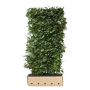 QuickHedge Veldesdoornhaag (kant en klaar haag)