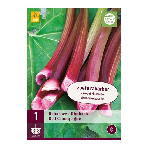 Zoete rabarber Red Champagne (zak van 1 stuk)