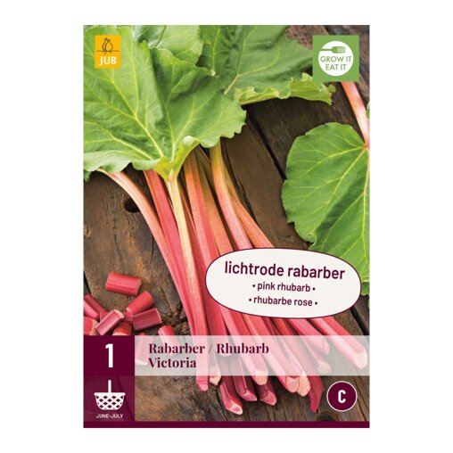 Lichtrode rabarber Victoria (zak van 1 stuk)