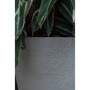 Pottery Pots Refined Bucket ronde plantenbak grijs