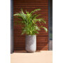 Pottery Pots Ridged Cody High ronde plantenbak hoog lichtgrijs buiten