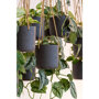 Pottery Pots Rough Charlie hangende plantenbak zwart groep