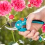 Rozenstruik snoeien met Gardena Classic snoeischaar standaard